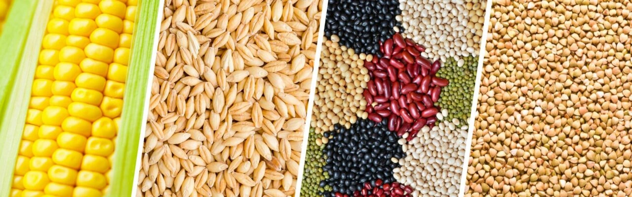 Rice, Soya Beans & Food Crop Farming